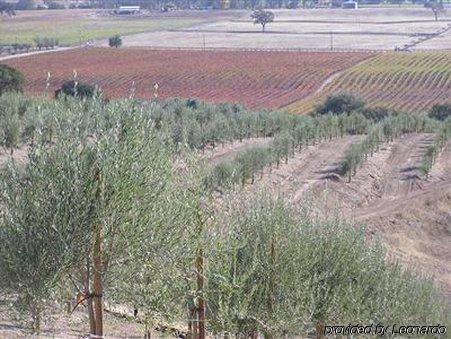 Alta Cresta Orchard & Inn Paso Robles Ανέσεις φωτογραφία